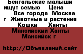 Бенгальские малыши ищут семью) › Цена ­ 5 500 - Все города, Москва г. Животные и растения » Кошки   . Ханты-Мансийский,Ханты-Мансийск г.